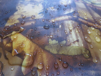 ������������� ����� �� �������� � ������ ������� ���������� ���� 3-��. ("������� ���") (����, ��� 2)